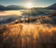 不需播放器伦理片免费观-无需播放器，伦理片免费观影的便捷与思考