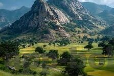 b站成人福利视频-探索B站成人福利视频的多元影响与边界