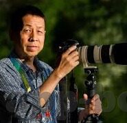大象传媒免费入口-探索大象传媒的免费资源之门