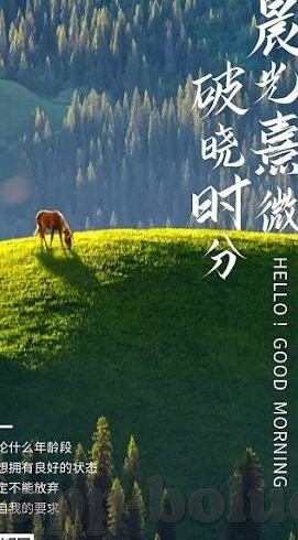 国麻豆av-国麻豆av，探寻影像背后的文化与情怀