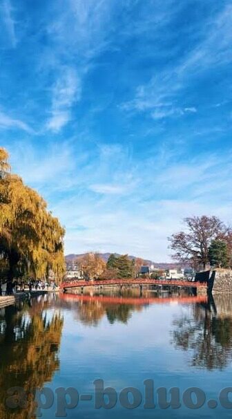 欧美亚洲日韩中文字幕在线播放-全球影视新视界，欧美、亚洲、日韩中文字幕在线播放的多元文化盛宴