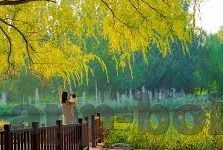 糖心app软件下载安装ios-探索生活中的便捷，糖心app在iOS上的下载与安装