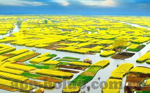 婷婷91麻豆精品-婷婷９１麻豆精品，真实的细节与发掘的魅力